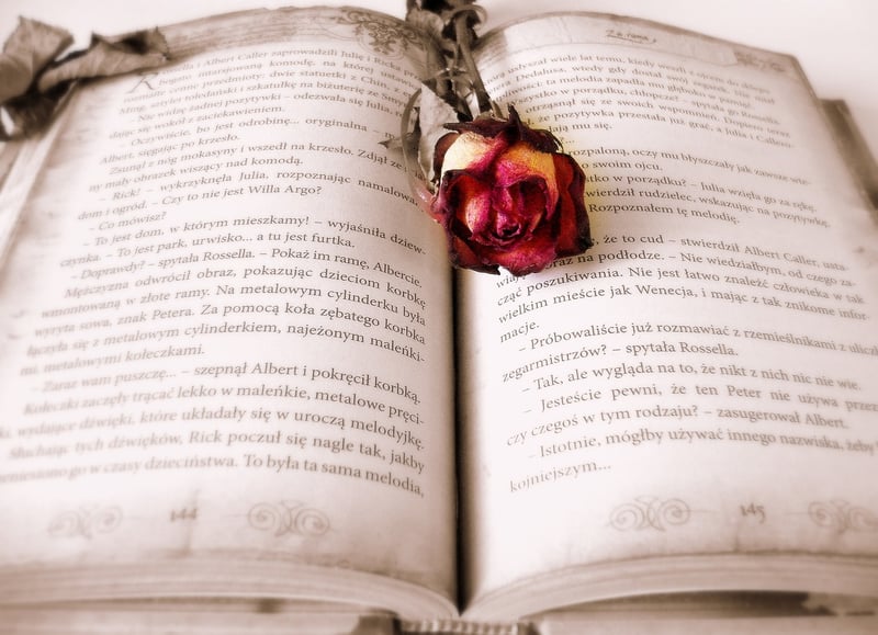 Enchanting Book